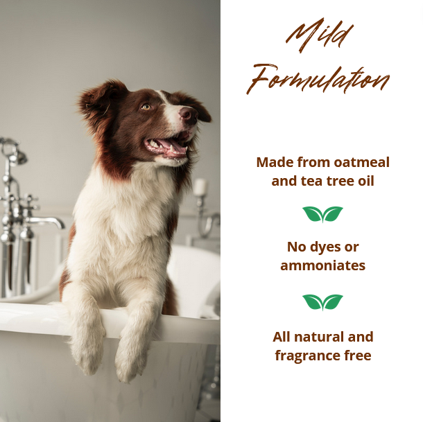 Allersearch Pet+ Oatmeal Anti-Allergen Dog Shampoo 16 oz